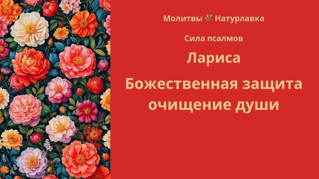 Божественная защита, на имя Лариса.