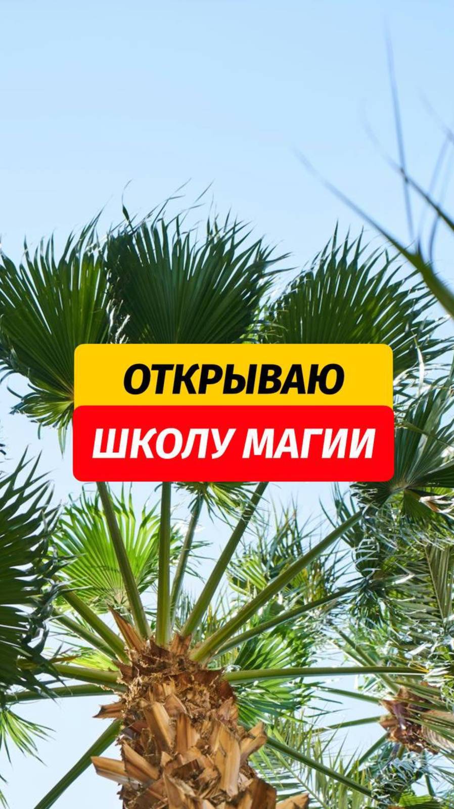 Последние недели только так и проходят 🔮🧙♂️ 🙌🏼Здесь множество лайфхаков для отдыха на Пхукете