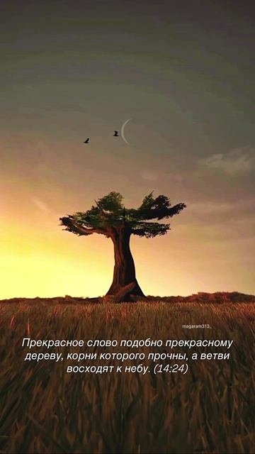 VID_20250522_231949_169.mp4