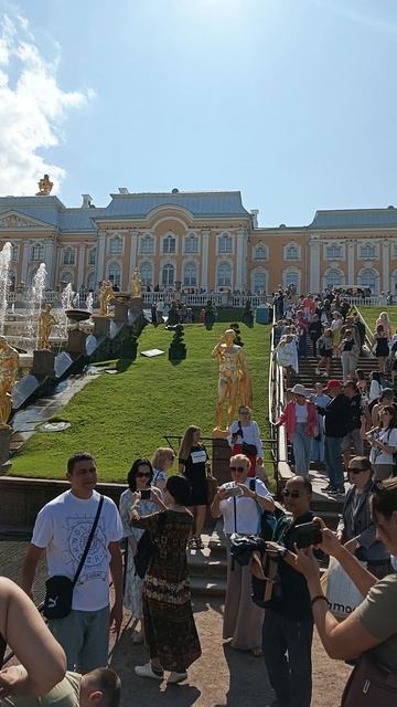 Питер2024