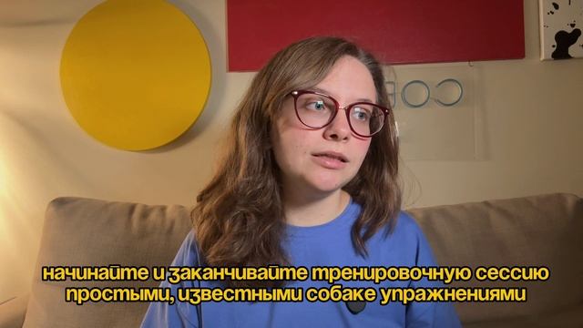 Собака не хочет взаимодействовать с владельцем