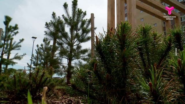 Тюменцы голосуют за благоустройство