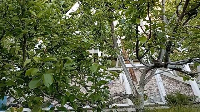 ПРОГНОЗ на 22 МАЯ, четверг 2025г. эпохи Водолея, Кали-юги, 5-й К. расы,2й Солнеч.системы. МНШУ Форум
