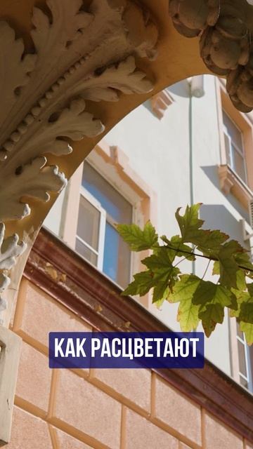 Что хорошего в Краснодаре?! Прогулка по улицам Краснодара 🔵Просочились #краснодар  #переезд  #пмж