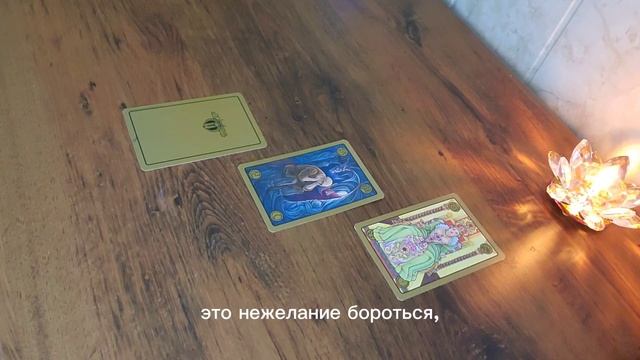 карта дня