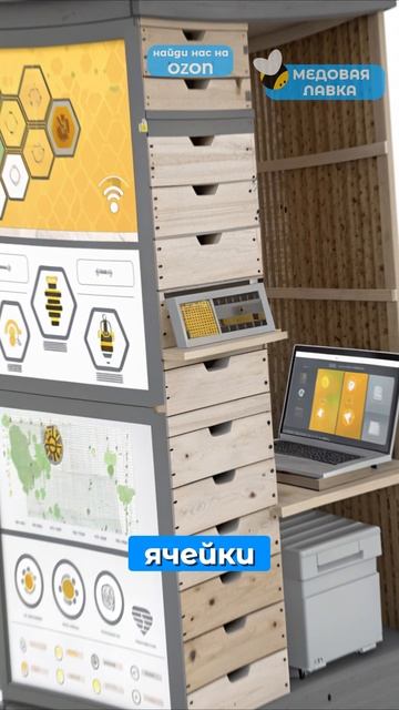ПЧЕЛИНЫЙ город БУДУЩЕГО?!🍯🐝#пчелы #факты #здоровье #мёд #пчеловодство #топ #еда #рек #интересно