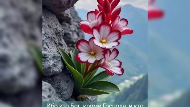 Благословенного утра!!!