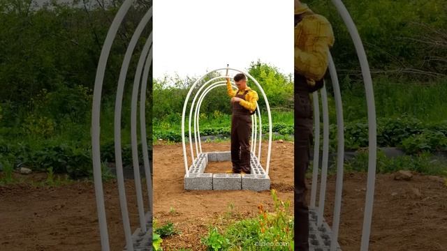 советы для дачи