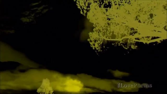Sauassa - Мæн ницыуал уромы ам