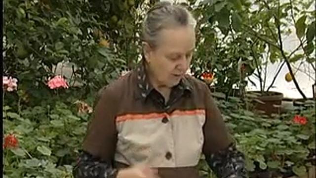 Садовник рекомендует №31 от 4 декабря