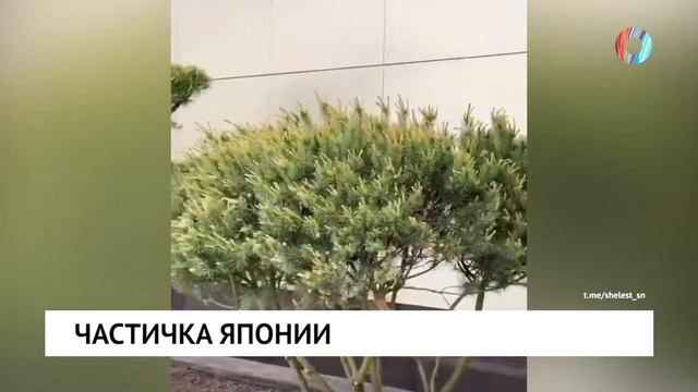 Частичка Японии