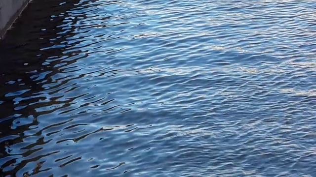 VID-20250522-WA0008