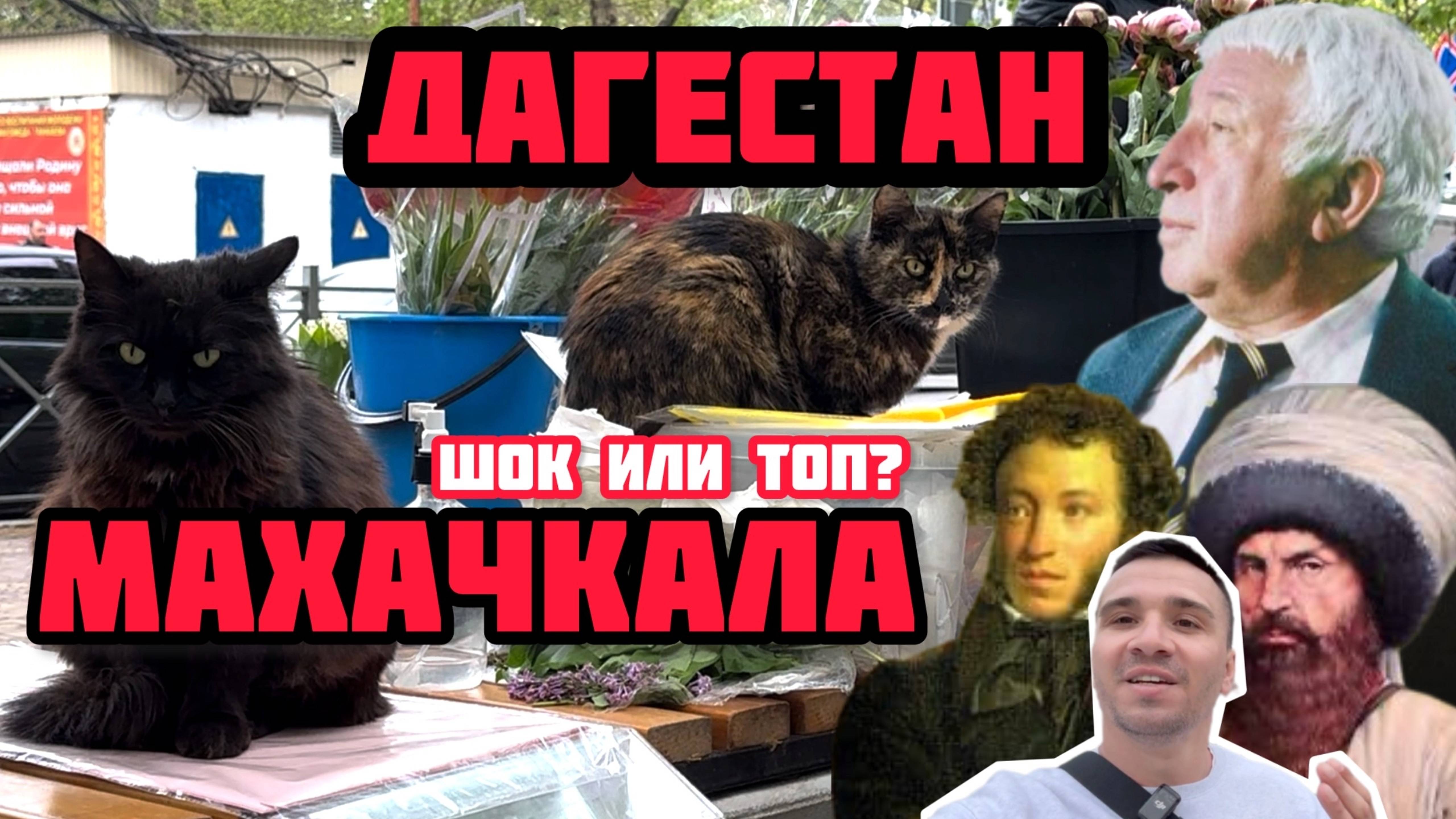 Дагестан: Реальность, которая Шокировала меня. Правда или Нет, что в Махачкале Ужасно и Опасно?