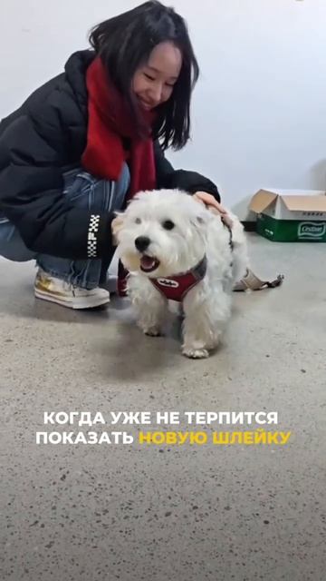 И КАЖДЫЙ ПИТОМЕЦ БУДЕТ СЧАСТЛИВ 😻