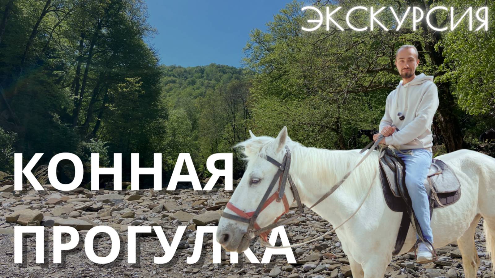 КОННЫЕ ПРОГУЛКИ В СОЧИ 2025: Где покататься + цены и отзыв 🐎🌲