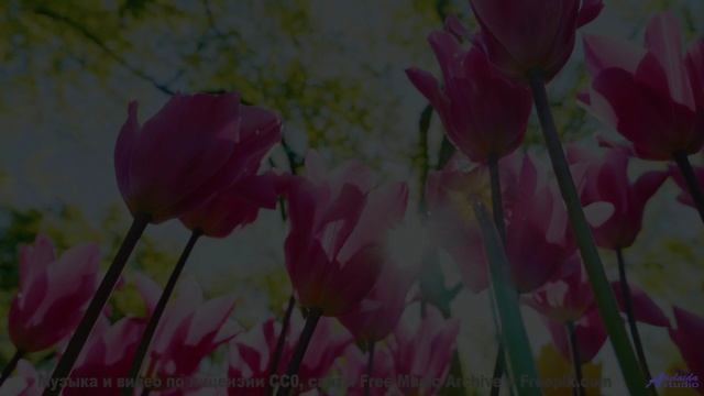Танцуйте под этот трек - он создан для влюблённых! - Unreliable Narrator -- One Man Book -- But Firs