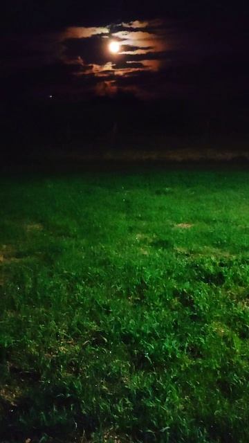 Деревня. Май. Ночь. Заморозки.