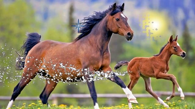 🌞 ДОБРОГО УТРА   ДОБРОЕ УТРО   С ДОБРЫМ УТРОМ   ДОБРОГО УТРА ЛЮБИМОЙ