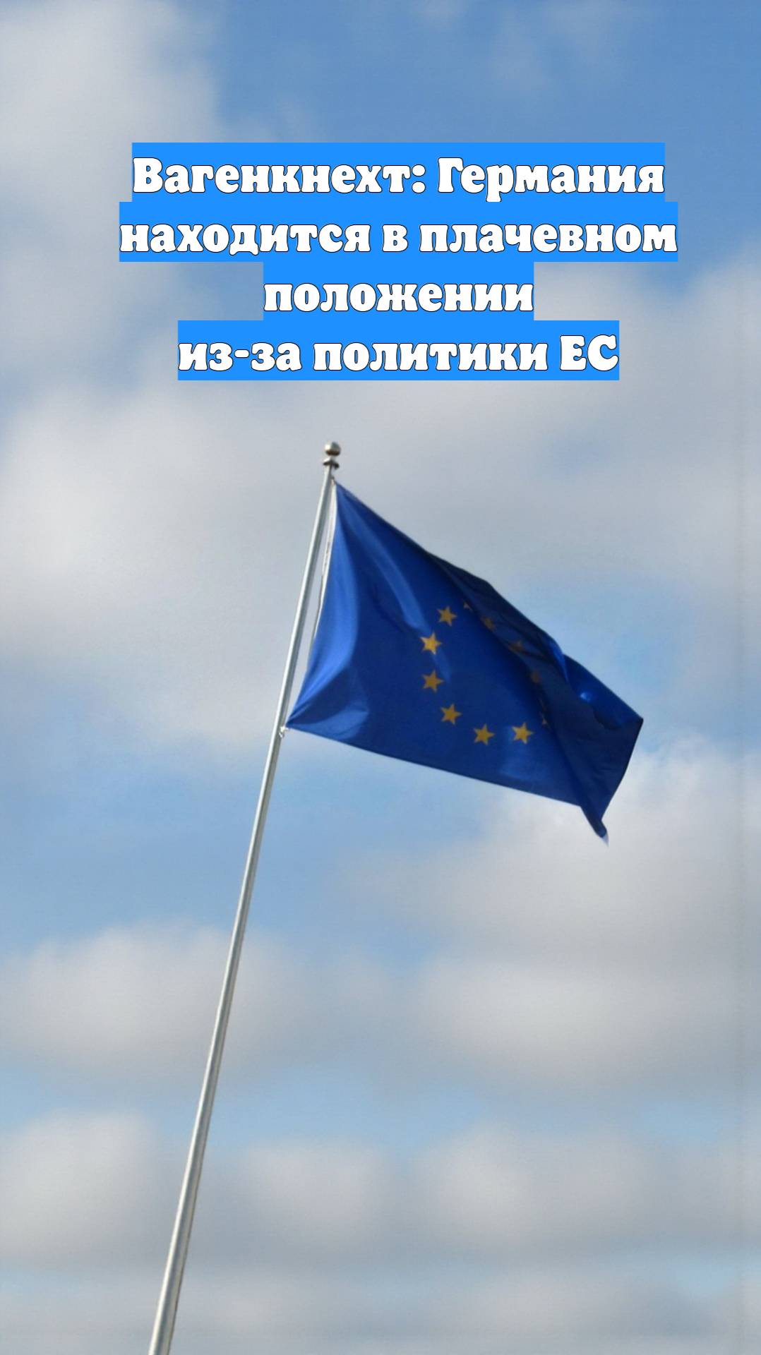 Вагенкнехт: Германия находится в плачевном положении из-за политики ЕС