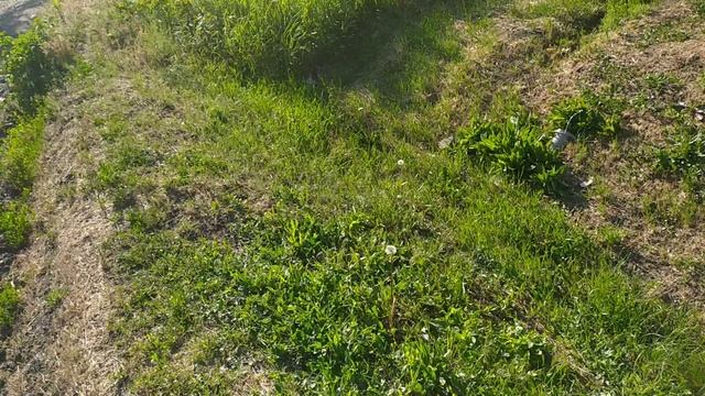 VID_20250522_170847.mp4 Иду домой