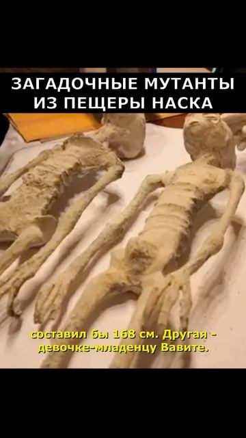 Что нашла экспедиция Аненербе в Перу?.#реки