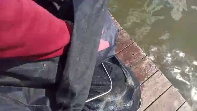 1000058523.mp4