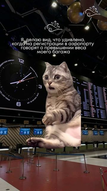 Готовы отправиться в это путешествие?