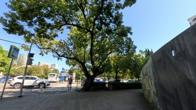 Гиперлапс: по Сочи солнечным днём.