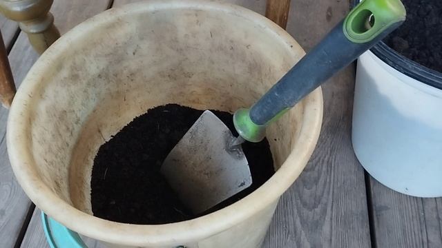 Высаживаю растения в кашпо.