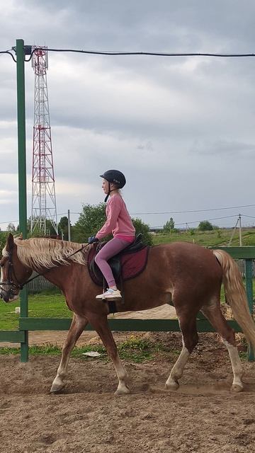 Ульяна и Каспер, изучаем ОФС Б, подготовка к стартам.