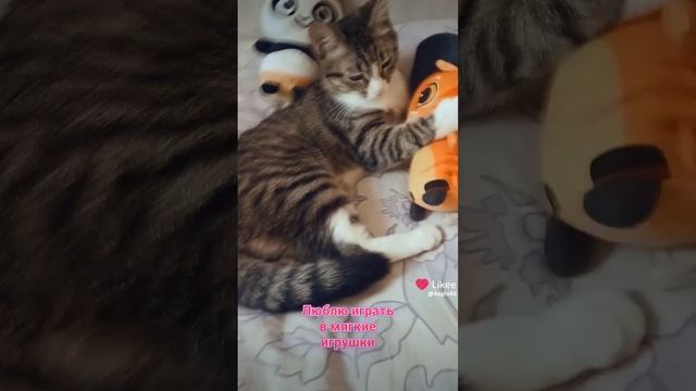 Любимые игры 😊 Давайте Дружить играть вместе😊😊