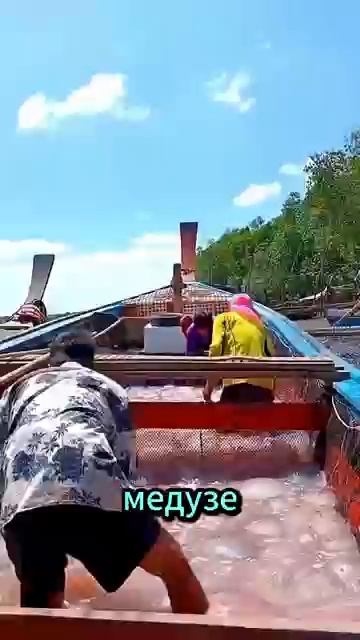 Почему этот человек не умер от укуса медузы？ Шокирующа