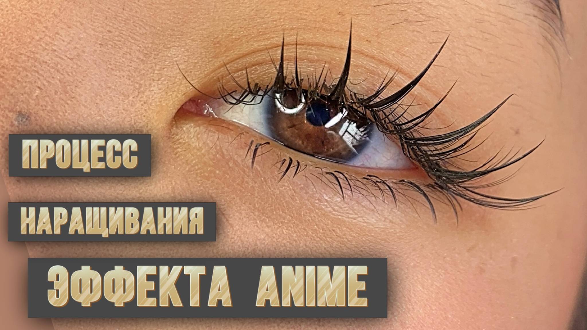 Процесс наращивания эффекта Анимэ LB