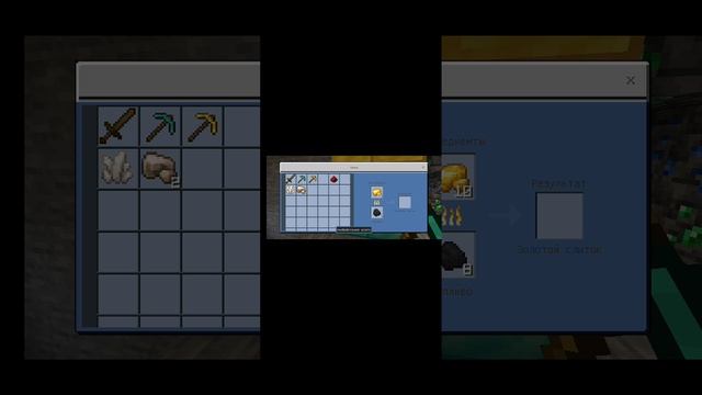1000019066.mp4