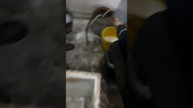 Смола впсг после заморозки