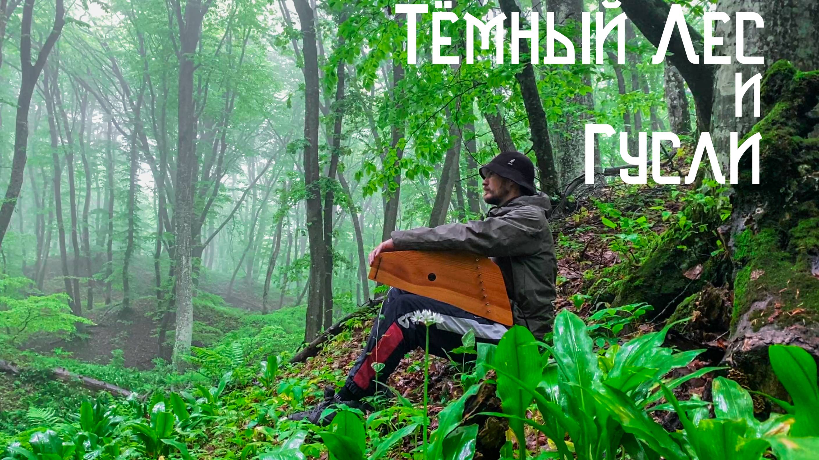 Гусли и Дождь / Музыка Души из Лесной Глуши / Гора Стрижамент