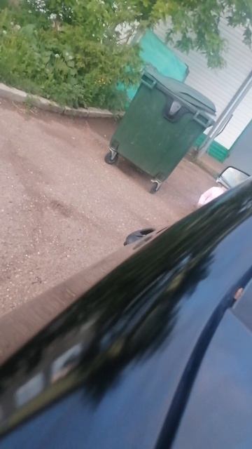 Тамила 🥰