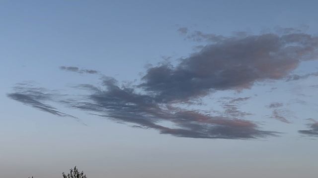 IMG_6553