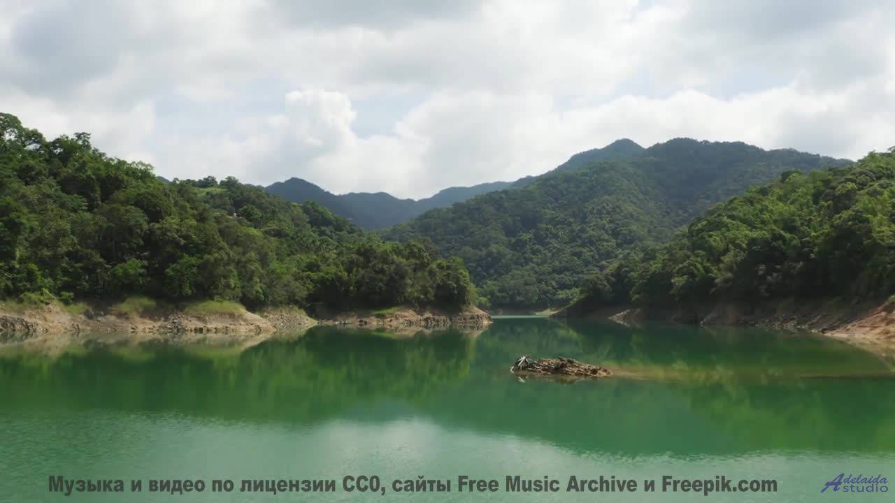 Вы такого не видели - природа под этим хитом - Nazlo (feat. МЦ Кожух Реактора) -- Александр Недугин