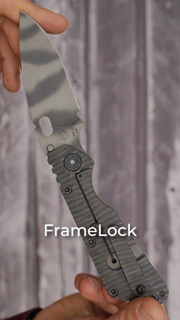Strider SMF CC
