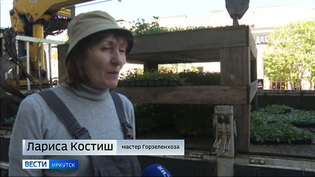 Прямое включение: в Иркутске приступили к  летнему озеленению