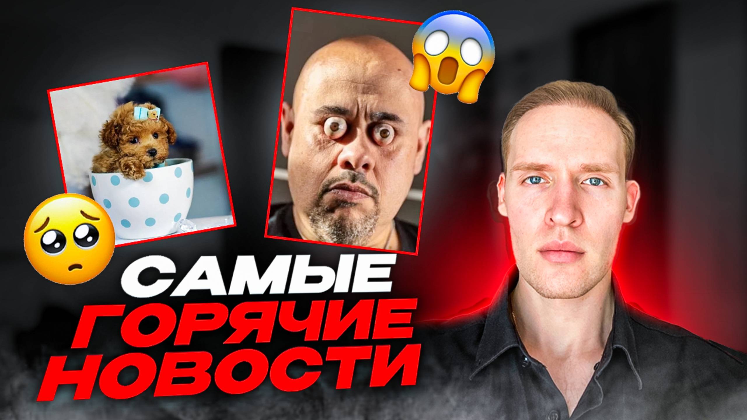 Поставил Рекорд По Выпучиванию Глаз😳Эта Порода Собак Помещается В Чайную Чашку..ТОП 10 НОВОСТЕЙ!