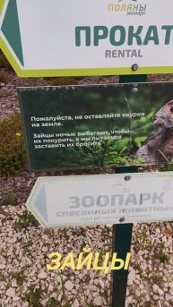 зайцы против ЗОЖ