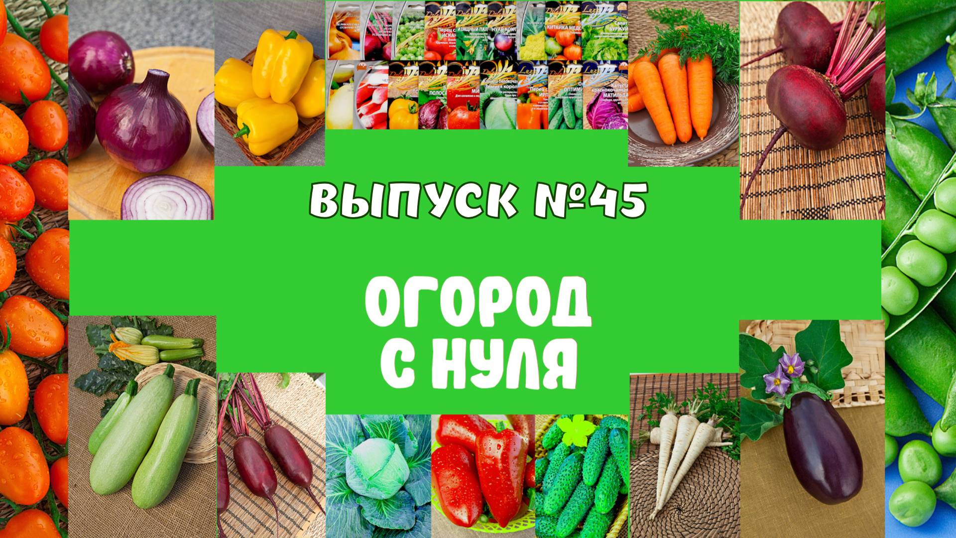 45. Закаливание рассады