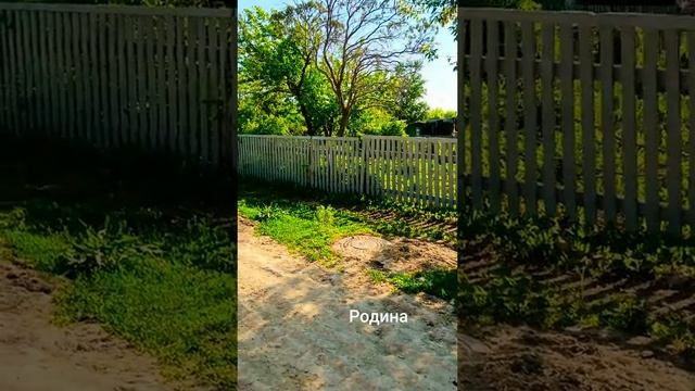 1000308877.mp4