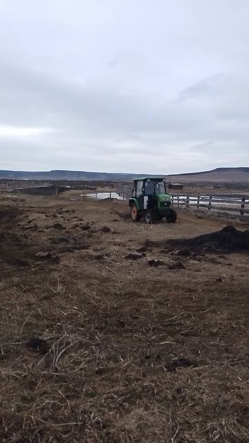 баранование
