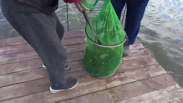 1000058515.mp4