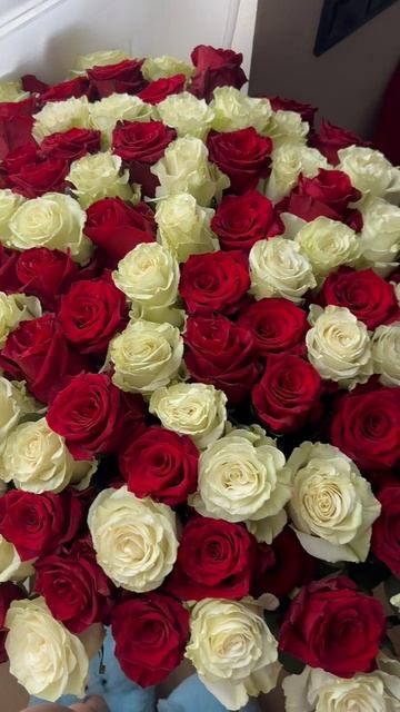 Роза 40 см 🌹
