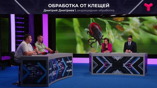 Акарацидная обработка садового участка