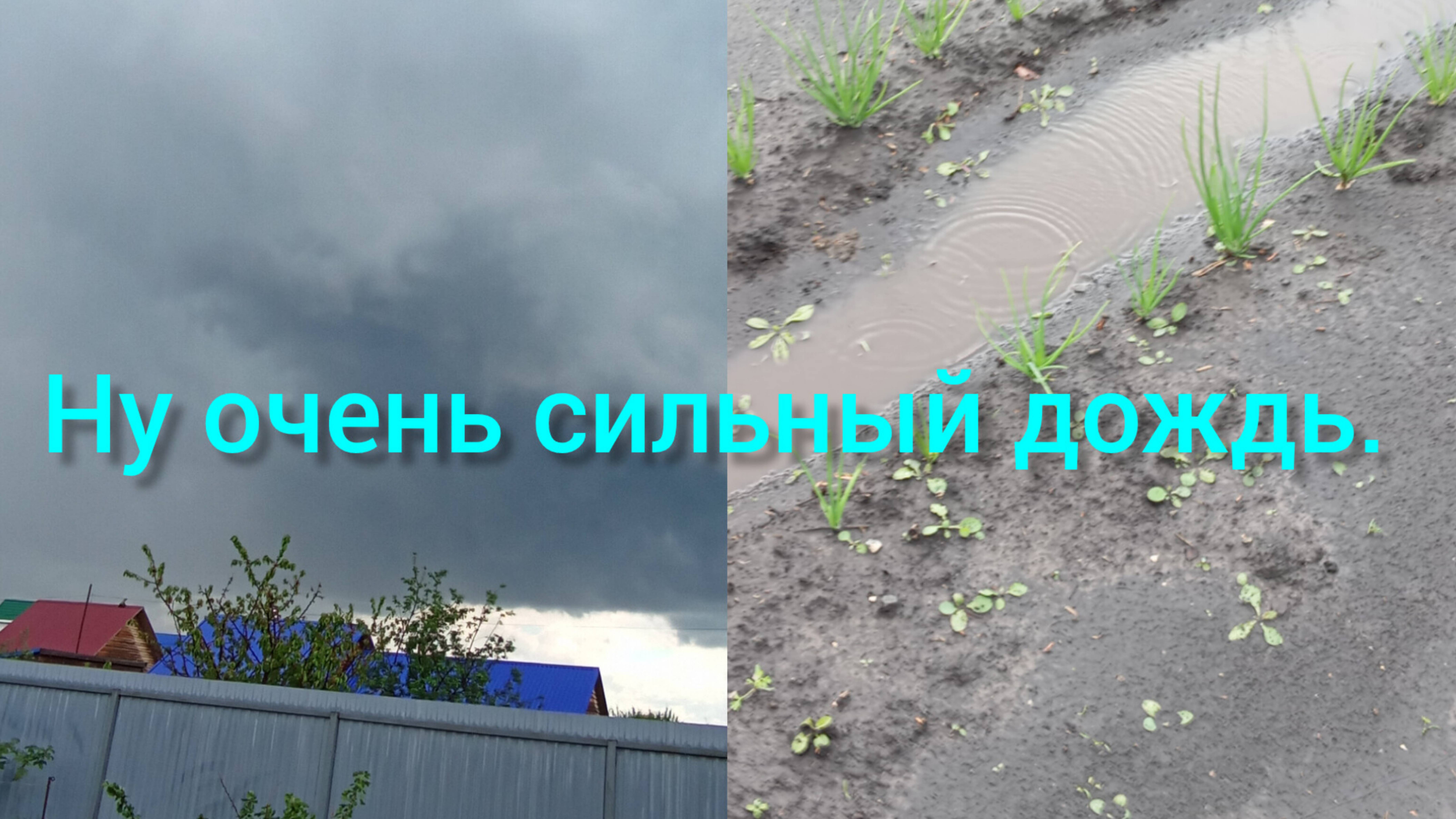 Ну очень сильный држдь